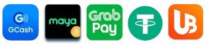 ph947 website image 17 showing payment
